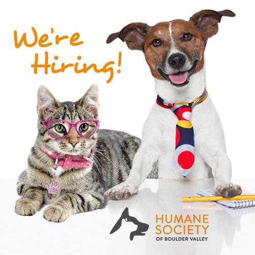 HSBV is Hiring Animals Pic