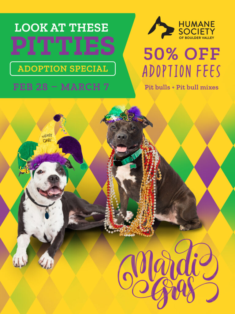 50% Off Adoption Fees for Pit Bulls and Pit Bull Mixes!